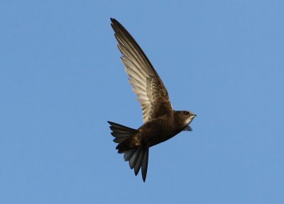 g4/55/750355/3/135691921.5ar7uAJS.jpg