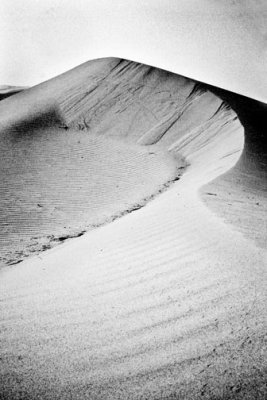 g4/55/782455/3/90619709.VV7vVnD1.jpg