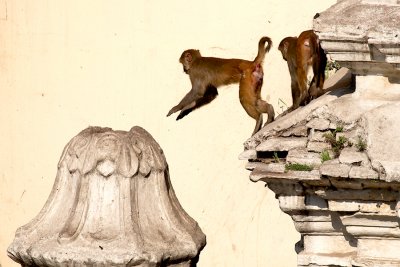 Pashupatinath