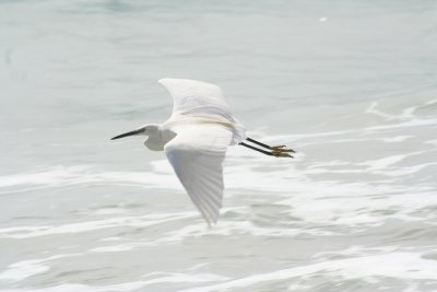 IMG_5313.JPG