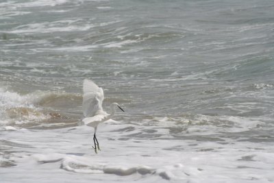 IMG_5316.JPG