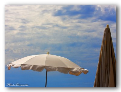 HL_P_MG_3549 prom parasols