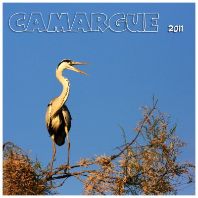 2011 - CAMARGUE
