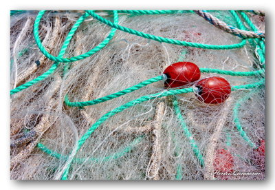 31 HL_cam_MG_5545 filets floteurs rouges.jpg