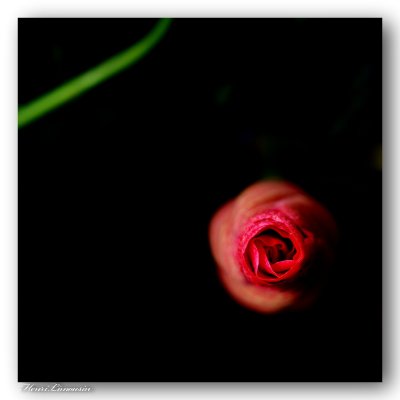 g4/55/810555/3/136086012.cbedh40m.jpg