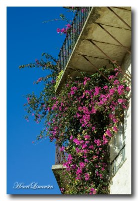 Balcons Bougainvilliers