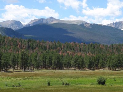 Hallet Peak and Flattop Mountain; view from Beaver Meadows