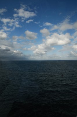 DSC_5371.jpg