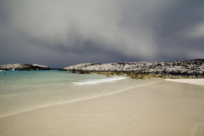DSC_5421.jpg