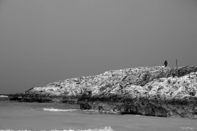 DSC_5426.jpg