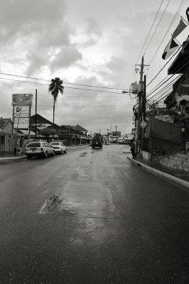 DSC_5508.jpg