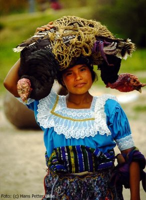 Woman With Living Turkeys