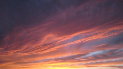 IMG_7176.JPG