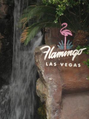 flamingo waterfall.jpg