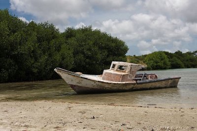 Aruba 04_hf.jpg