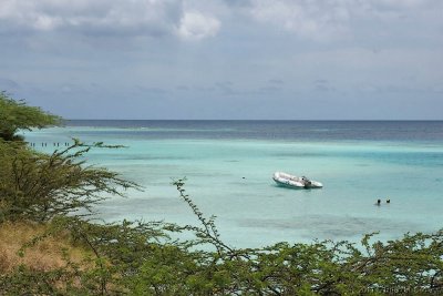 Aruba 06_hf.jpg