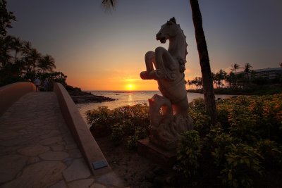kona 2011