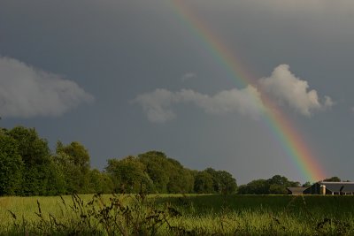 Regenboog / Rainbow