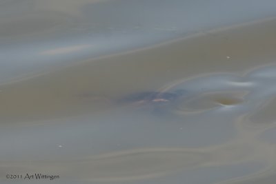 g4/55/947955/3/136214869.kPTJEtkj.jpg