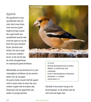 Appelvink