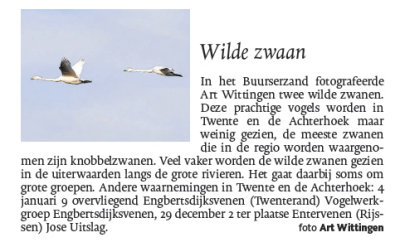 19 Januari 2008