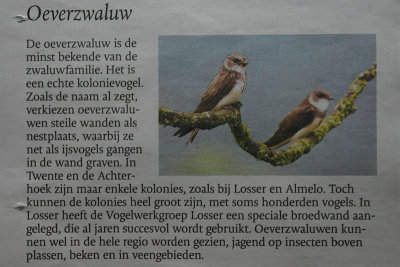Twentsche Courant Tubantia