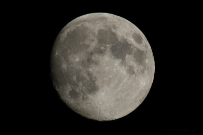 Luna / Maan / Moon