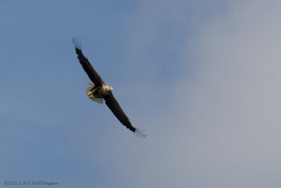 g4/55/947955/3/143106090.q0US02zJ.jpg