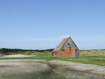 Texel