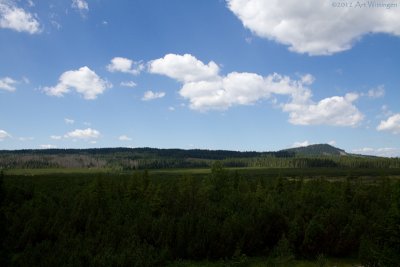 JEZERNÍ SLAŤ  - Národní Park Šumava