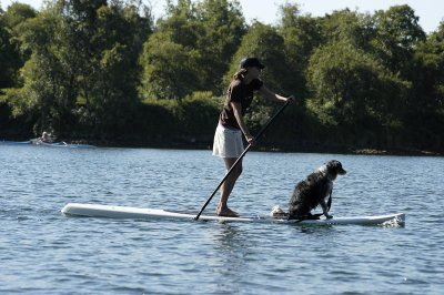 Paddle Boarder with Dog