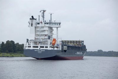 Baltic Swan