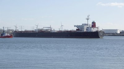 g4/56/1017156/3/141206211.XatOU8Kv.jpg