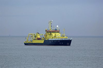 Zirfaea