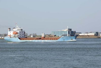 Wilson Rough