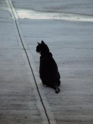 contemplation