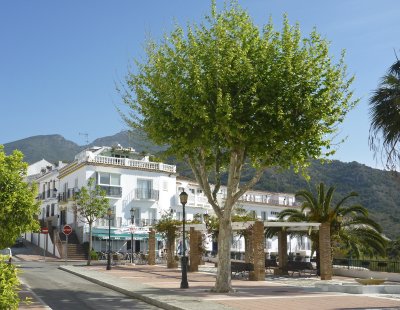 maro plaza