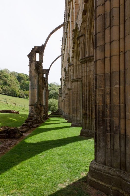 Rievaulx Abbey ruins