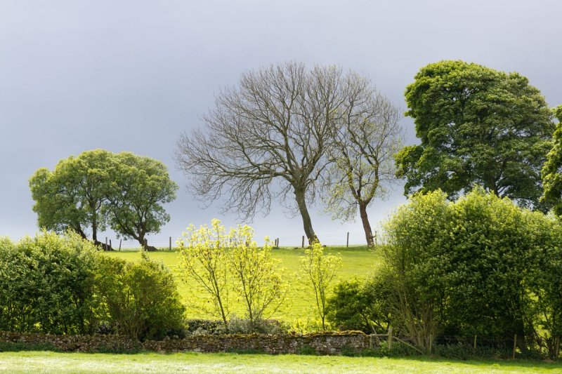 Yorkshire Dales