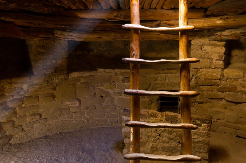Spruce Tree House