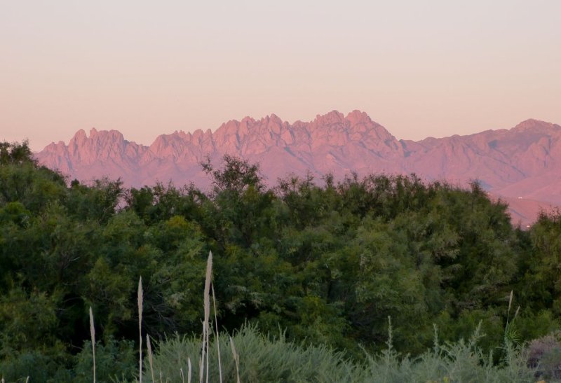 Organ Mts. from near Mesilla, NM