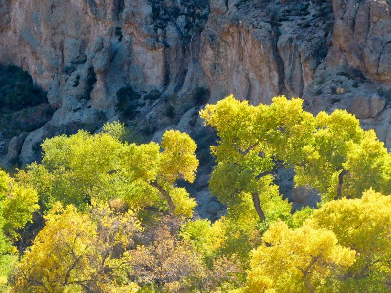 Boyce Thompson Arboretum, AZ
