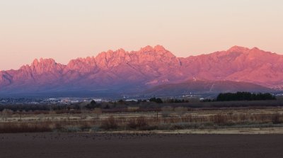 Organ Mountains at sunset from across the Mesilla Valley