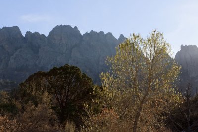 Organ Mountains from Aguirre Springs