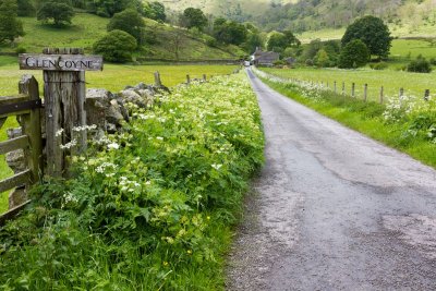 Near Ullswater
