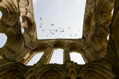 Rievaulx Abbey ruins