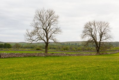 Yorkshire Dales