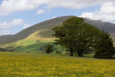 Near Castlerigg Stone Circle