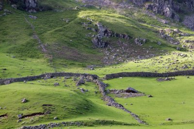 Along road west of Great Langdale
