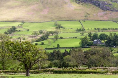 Along road west of Great Langdale